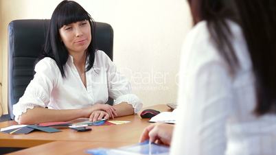 Businesswoman Working With Customer