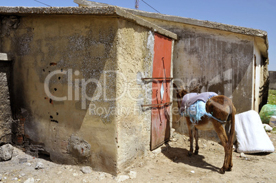 Afrika Morokko Transportmittel