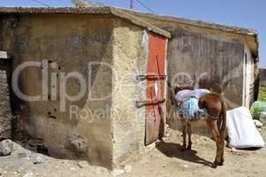 Afrika Morokko Transportmittel