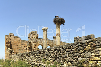 Marokko Volubilis Ruine