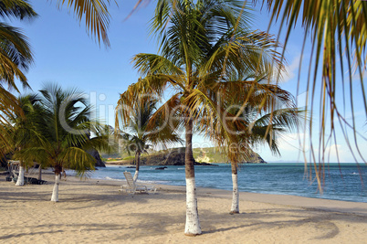 Margarita island