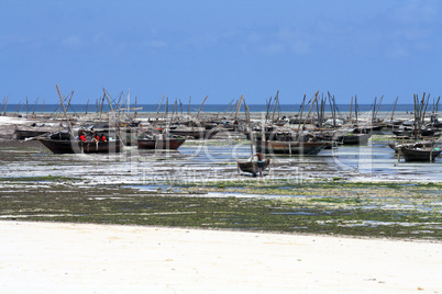 Fishing village in Zanzibar