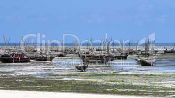 Fishing village in Zanzibar