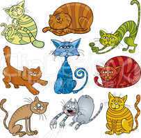 cartoon cats set