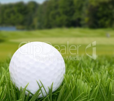 Golf Ball