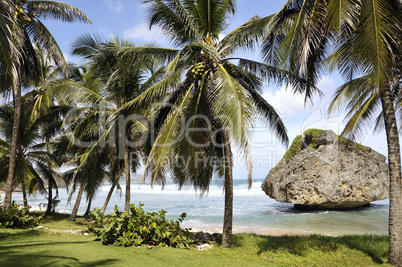 Barbados Caribbean coast