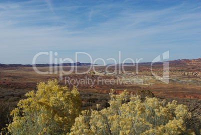 Desert plants with multicoloured sands and rocks in the distance, Arches National Park, Utah