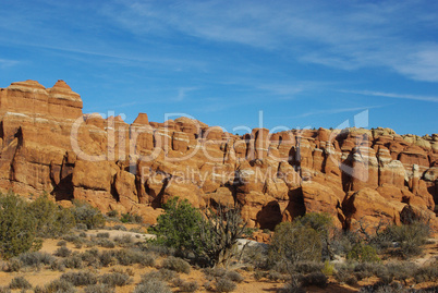 Dry trees and red rock formations, Arches National Park, Utah