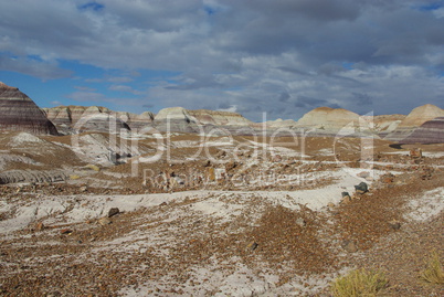 Colours in Petrified Forest National Park, Arizona