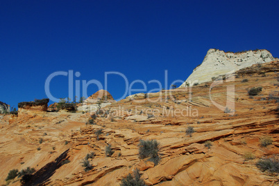 Orange layered rocks in Zion National Park, Utah