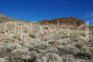 High desert with old abandoned mine entrance, San Francisco Mountains, Utah