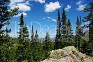 Rocks, forests and Rocky Mountains, Colorado