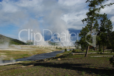 Forest, stream and geysirs, Yellowstone Nationalpark, Wyoming