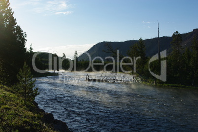 Madison River in the morning, Yellowstone Nationalpark, Wyoming