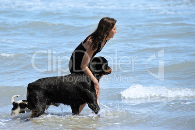 rottweiler and girl in the sea