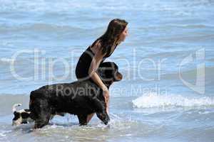 rottweiler and girl in the sea