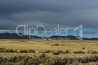 Hay, cattle, prairie and mountains, Nevada