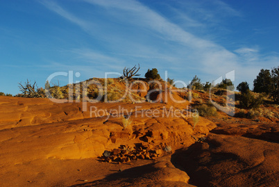 Orange rocks, dry trees and green vegetation, Devils Garden, Utah