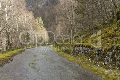run-down road in rural landscape
