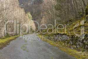 run-down road in rural landscape