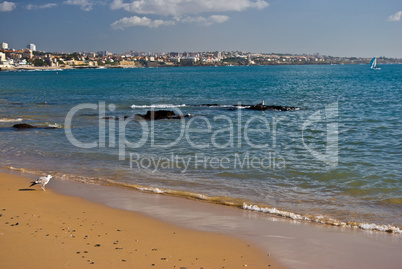 Beach in Cascais