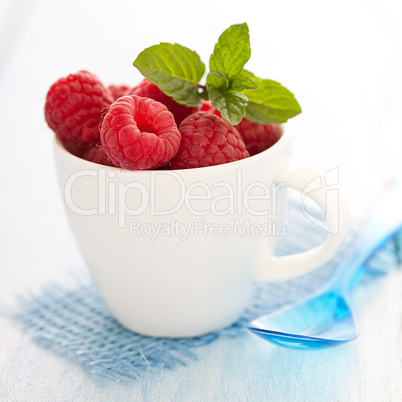 frische Himbeeren / fresh raspberries