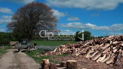 Tree and cut wood