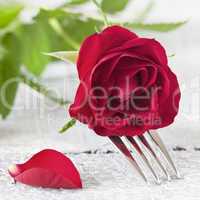 Gabel mit Rose / fork with rose