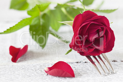 Valentinstaggedeck / table setting for valentine