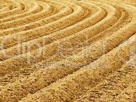 Background of newly plowed field ready for new crops