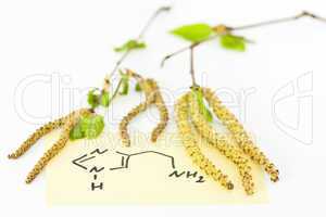 Heuschnupfen, Allergic rhinitis