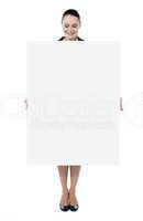Business lady promoting big blank banner ad