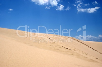 dunes on the beach