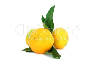 Mandarins