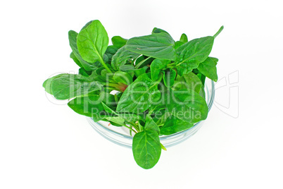 Spinach in glass bowl