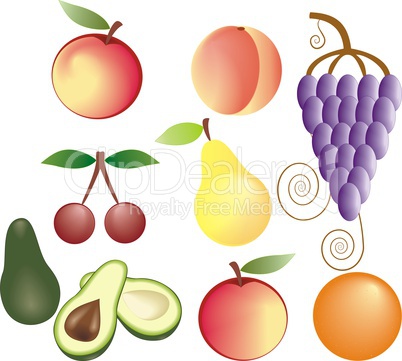 fruits  set