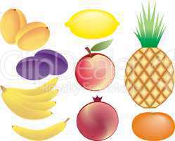fruits set