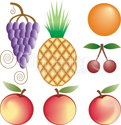 fruits vector set