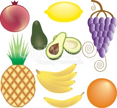 fruits set