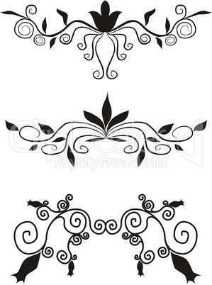 decorative floral design elements