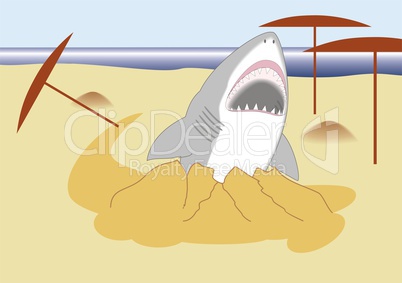 shark  with open mouth  is coming out to the beach