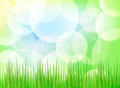 Green spring background with grass and blurry light