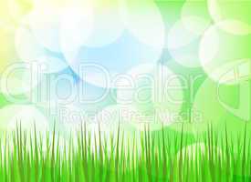 Green spring background with grass and blurry light