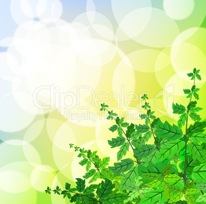 Green spring background with grass and blurry light