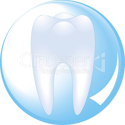 tooth is protected by a glass sphere of dentistry