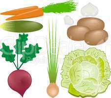 vegetables vector set