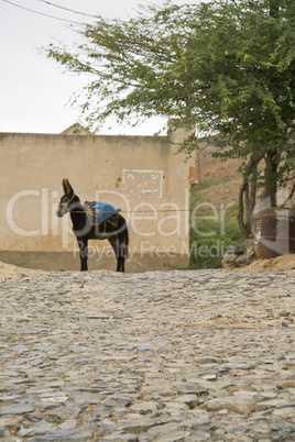 Cabo Verde 9