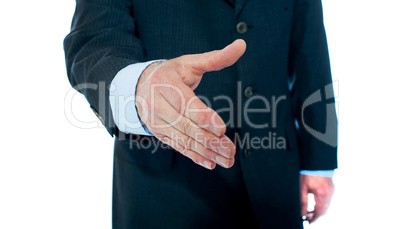 Modern businessman offering handshake