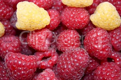 Fresh raspberries, background