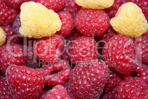 Fresh raspberries, background